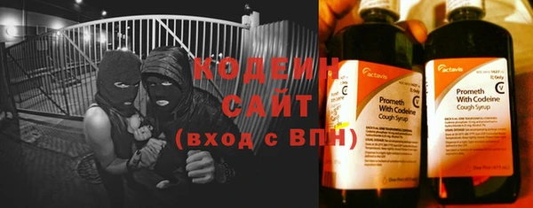 дурь Бородино