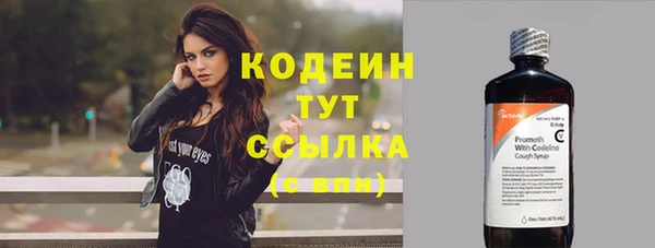 дурь Бородино