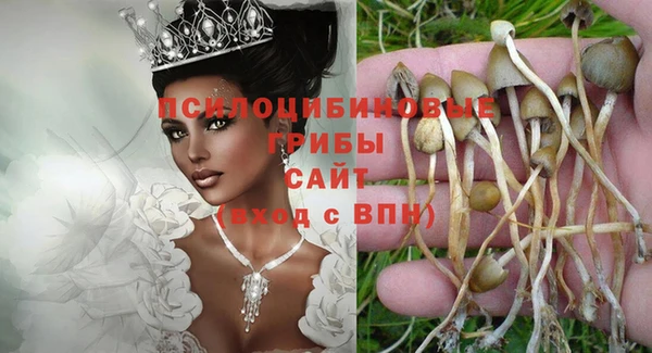 дурь Бородино