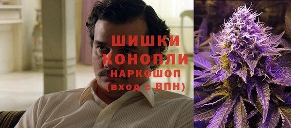 дурь Бородино