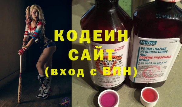 дурь Бородино