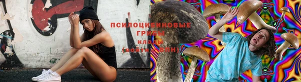 дурь Бородино
