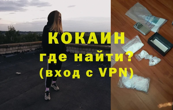 дурь Бородино