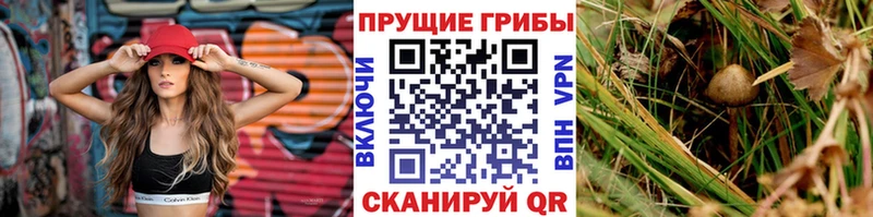OMG зеркало  Нижневартовск  Галлюциногенные грибы мухоморы 